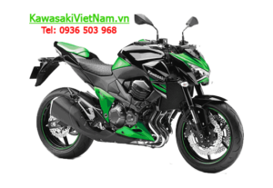 Kawasaki Z800 ABS 2015